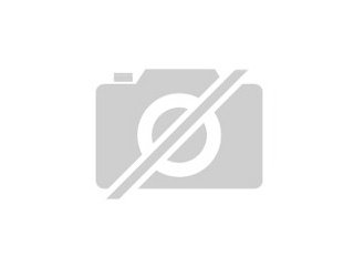Amherstfasan Goldfasan -rot-